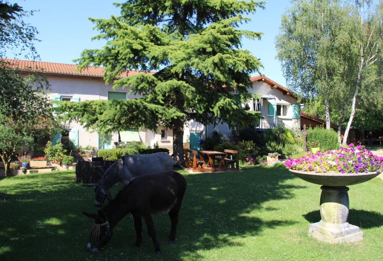 La Ferme De Capucine Bed and Breakfast Culhat Buitenkant foto